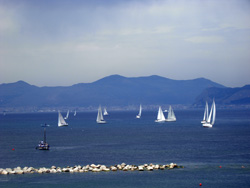DSCN7470