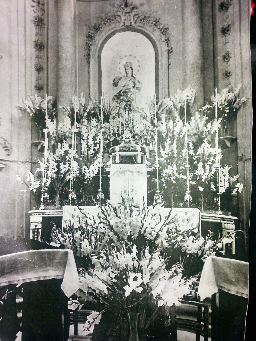 madonna assunta