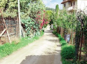 Quartiere Consona: “Peggio del terzo mondo” - Bagheria Info