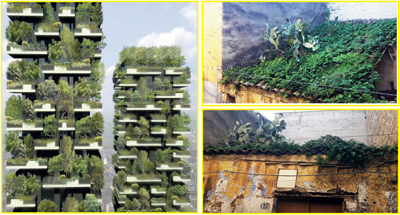 Bagheria come Milano? – Il Bosco verticale e la vegetazione sui tetti fatiscenti