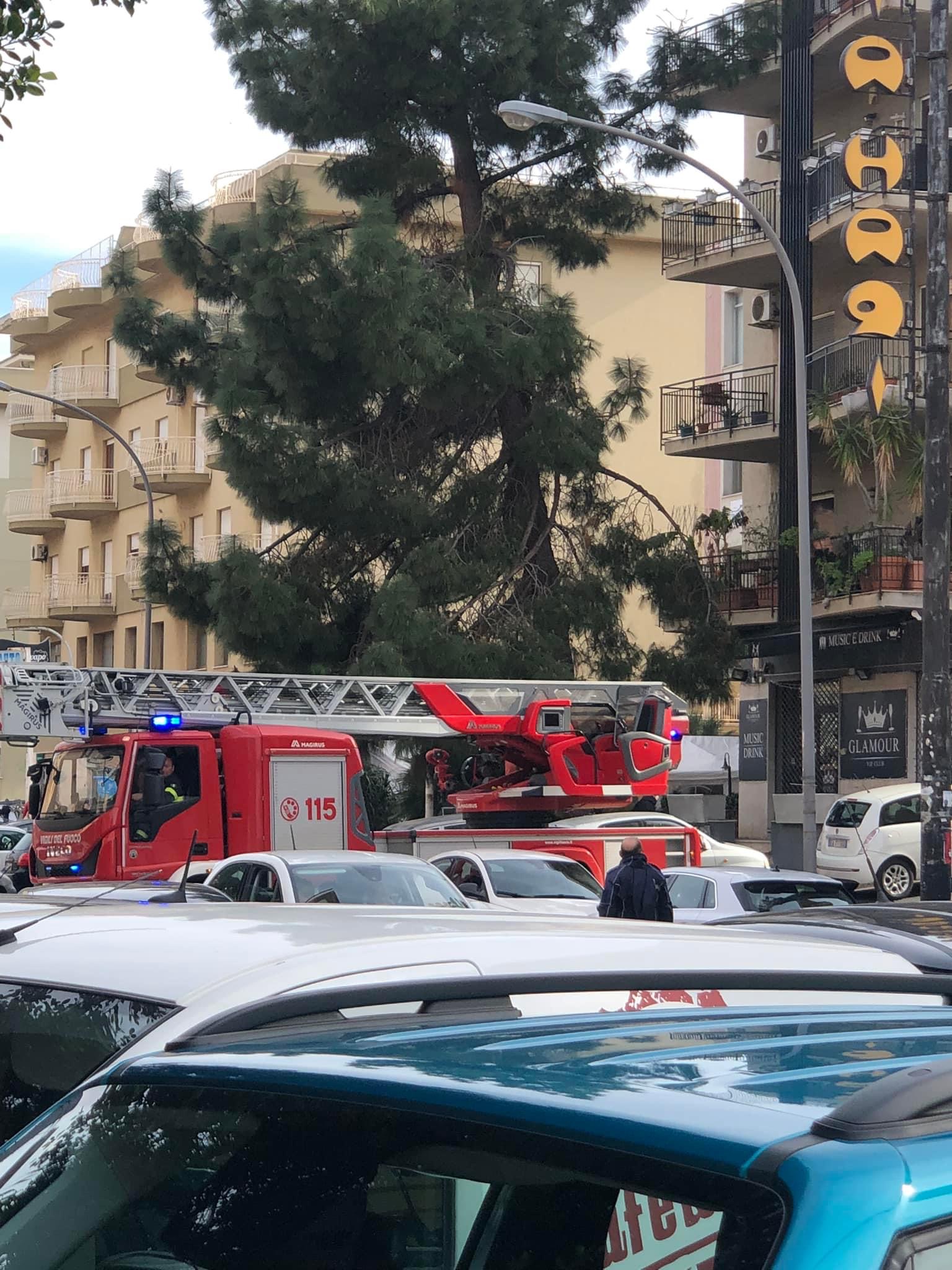 Pompieri in via Dante per rimuovere i rami di un albero a rischio crollo