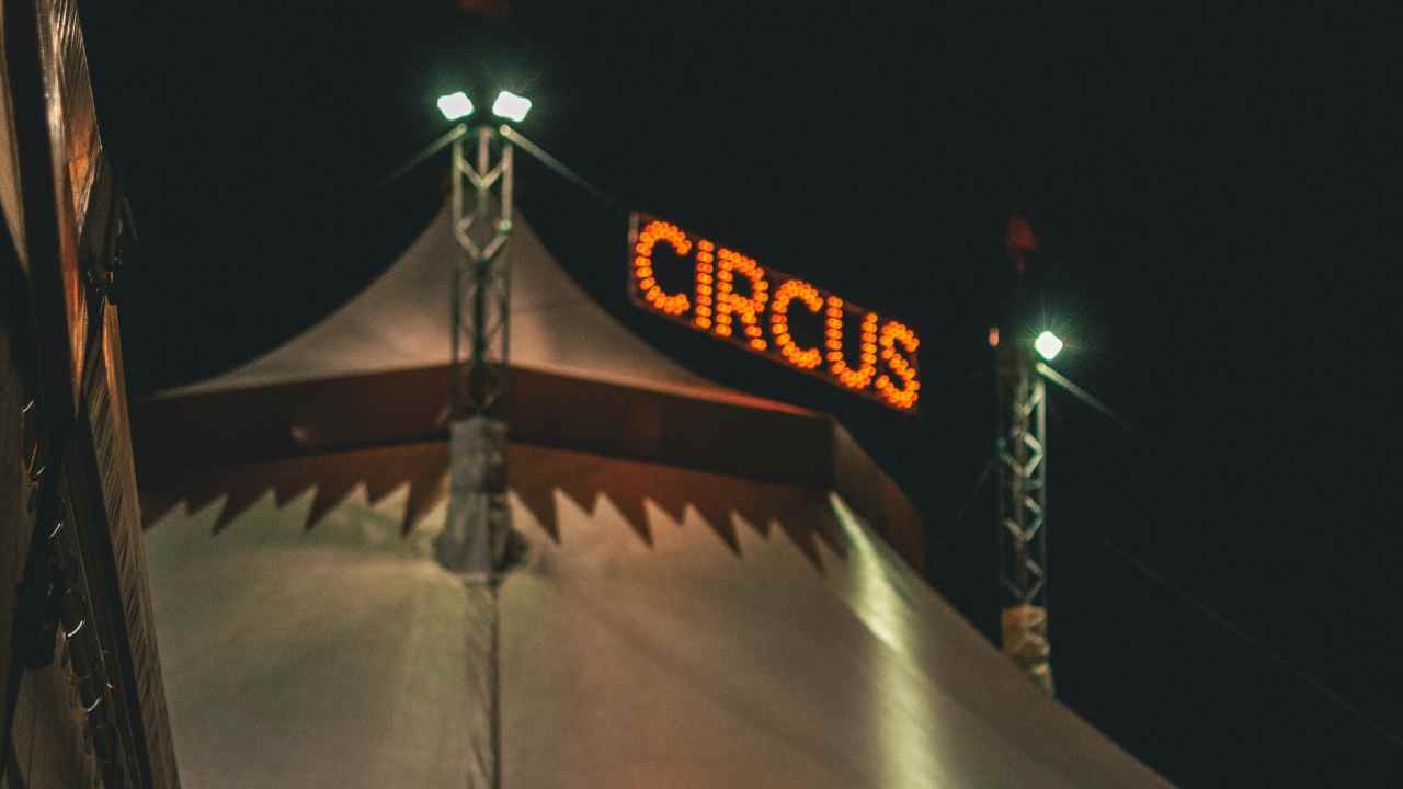 Circo