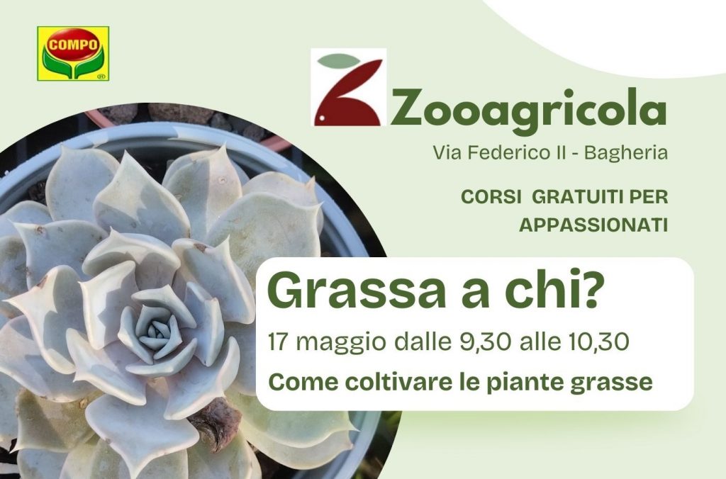 Incontro su piante grasse e giardino da Zooagricola a Bagheria