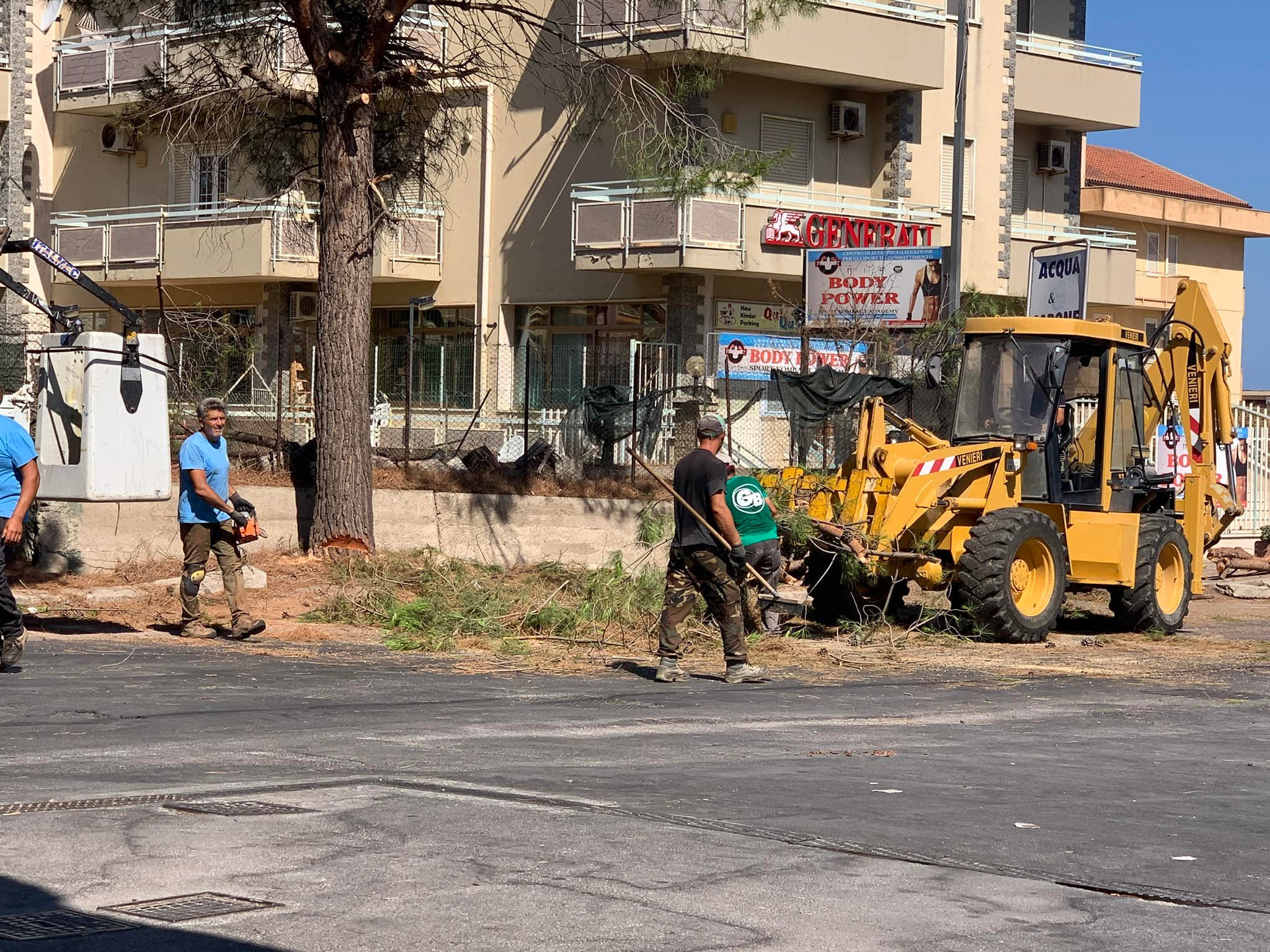 Gruppo civico “Bagheria è Casa nostra” lancia petizione contro l’abbattimento di alberi pubblici in città
