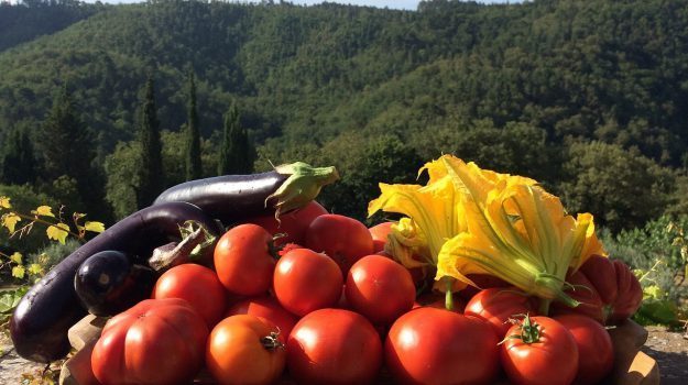 Agricoltura in Sicilia, nuova fumata nera sulla ripartizione dei fondi europei 2021-2022