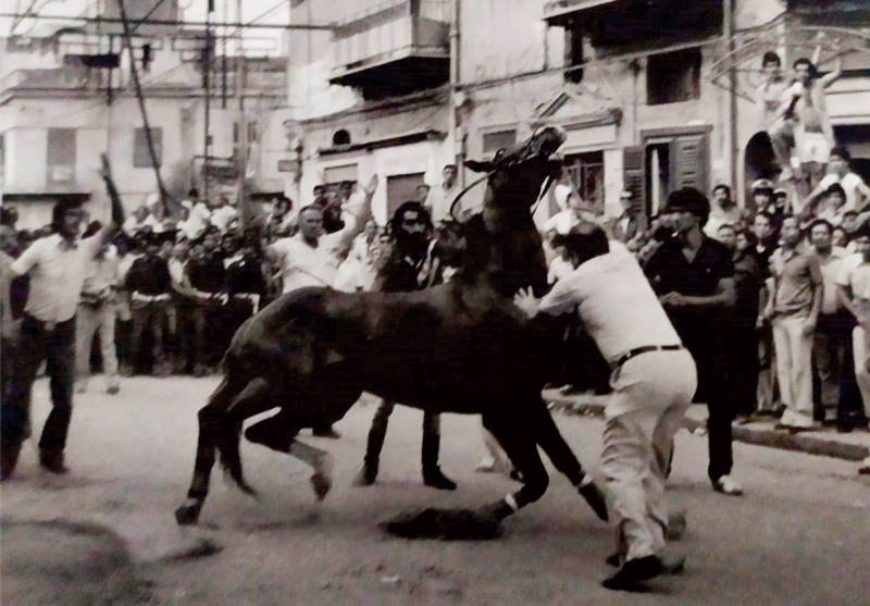L’ultima corsa… a frotte arrivano dalle stradine che tagliano il corso, vagonate di gente eccitata e sudata