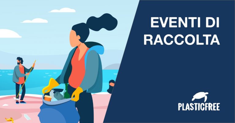 PlasticFree in azione ad Aspra. Sabato raccolta plastica nelle spiagge.