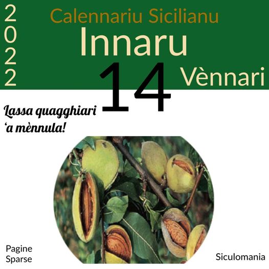 Oggi parliamo della mandorle siciliane, uniche al mondo