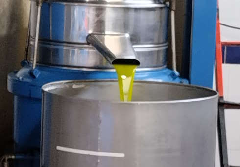 I prezzi dell’Olio EVO in leggera discesa. Al Frantoio del Cavaliere acquistarlo è una esperienza.